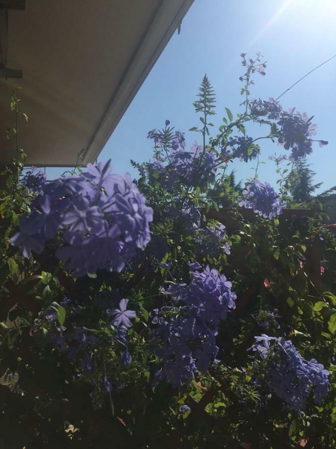 Chiavi Antiche B&B Salerno Zewnętrze zdjęcie